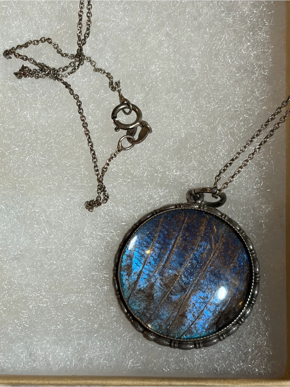 Antique Sterling Silver Morpho Butterfly Wing Round Pendant Necklace - Picture 3 of 10